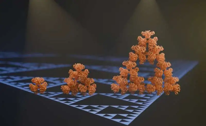 What are Fractals?
