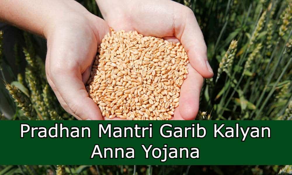 Free foodgrains for 81 crore people under NFSA