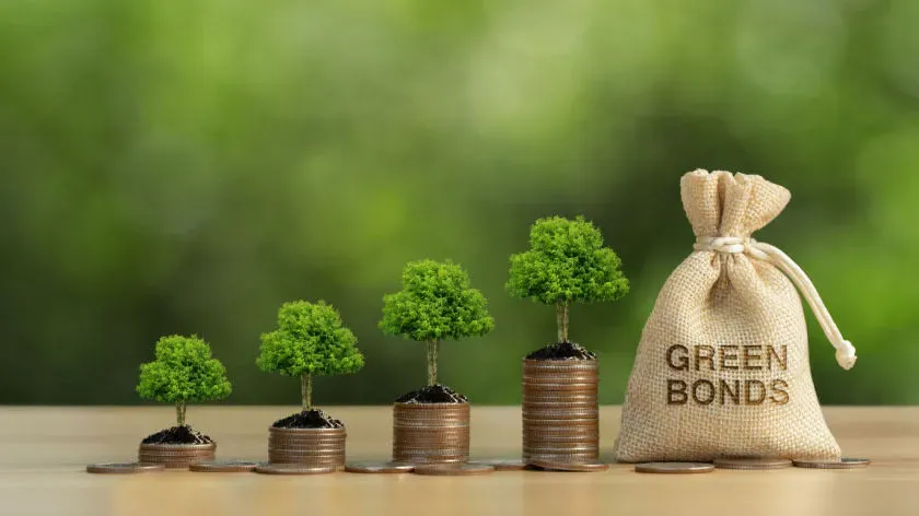 What is Greenium?