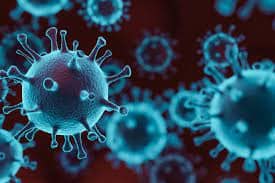 Avian influenza virus (H9N2)