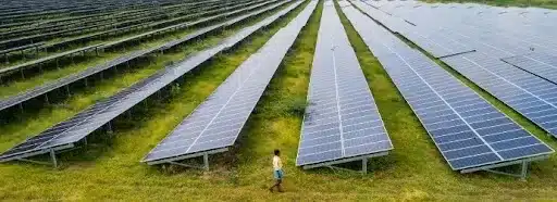 Domestic Solar Cell Mandate
