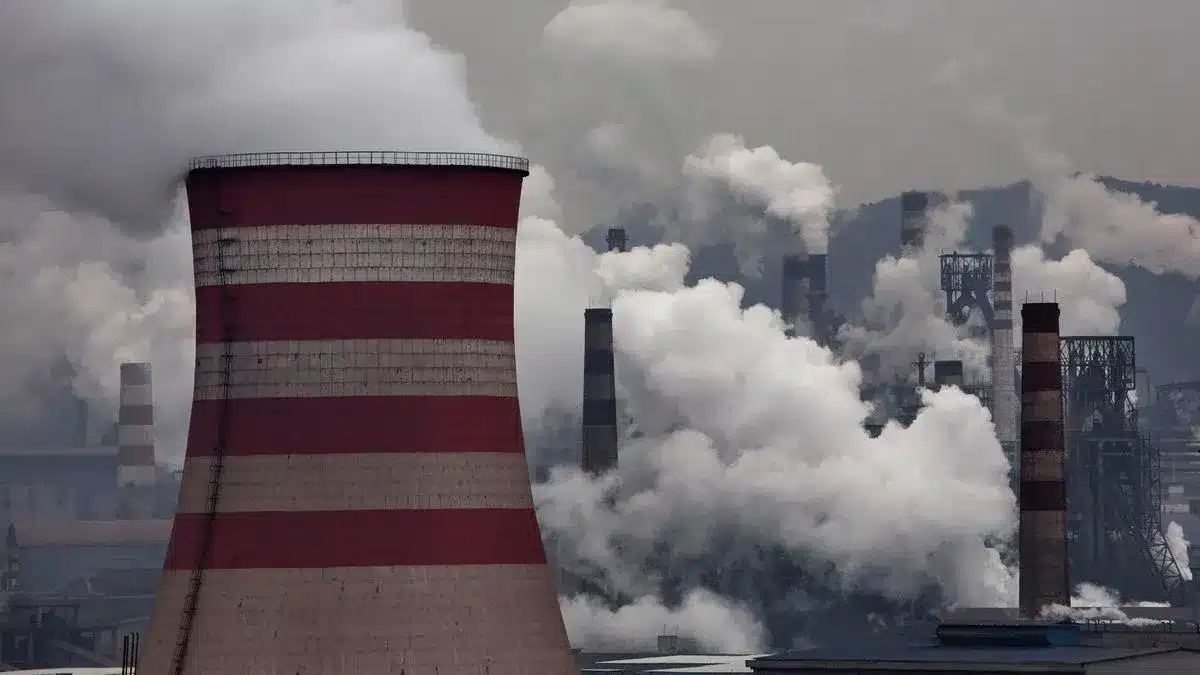 India, Japan Plan Joint Carbon Crediting Mechanism