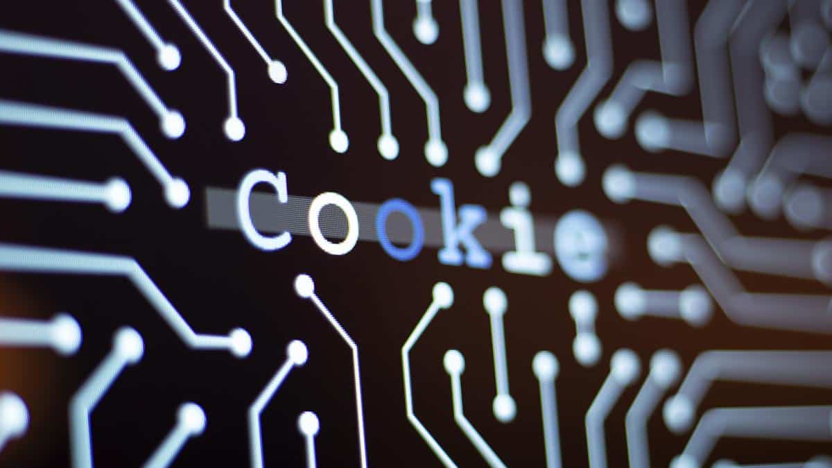 Internet cookies