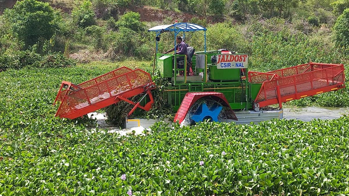 JALDOST Airboat