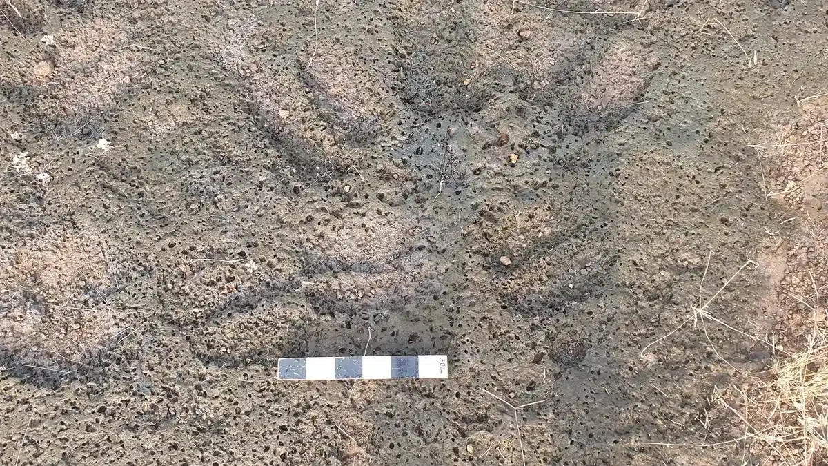 Kanhirapoil Megalithic Site