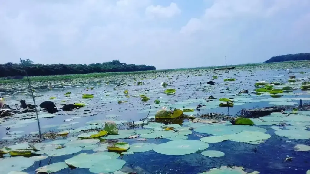 Kanwar Lake