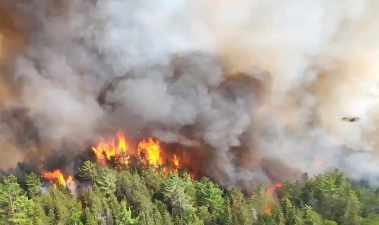 Large-scale wildfires in Canada
