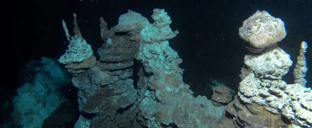 What is the Last Universal Common Ancestor (LUCA)?