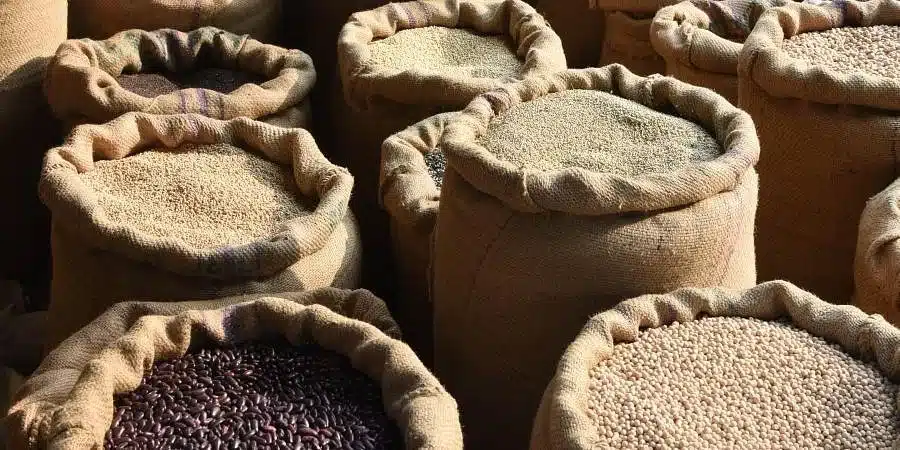 Lentil Production
