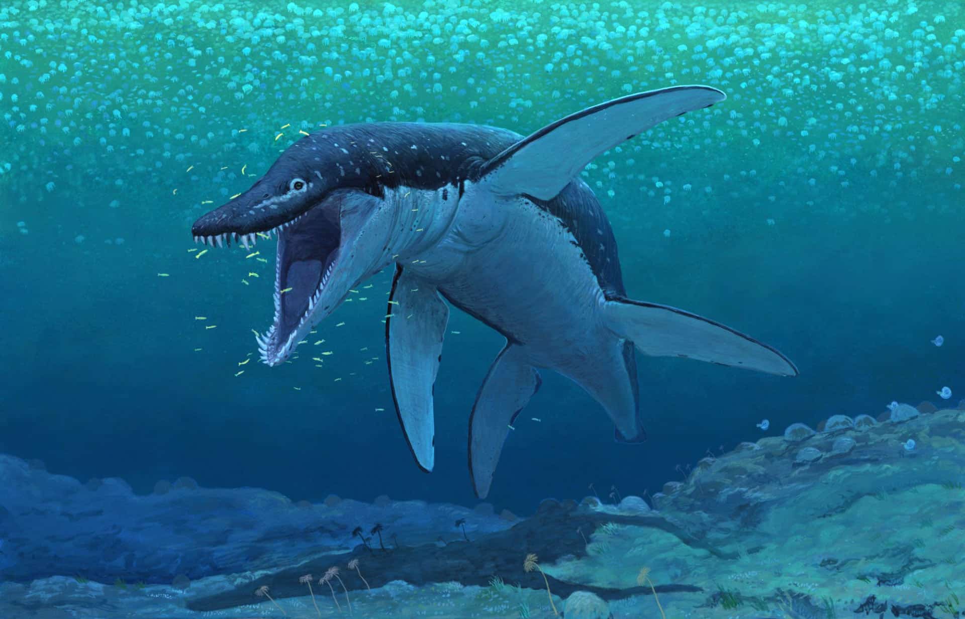 What is Lorrainosaurus?