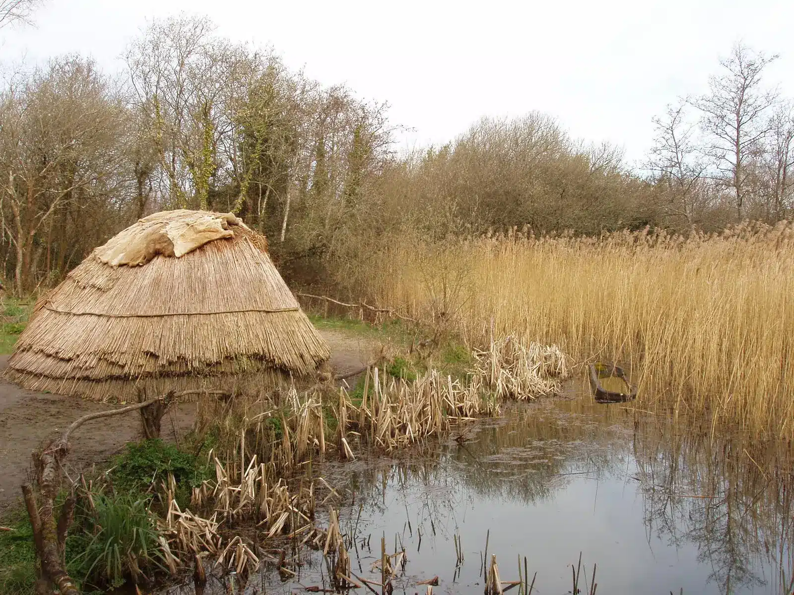 What is the Mesolithic Period?