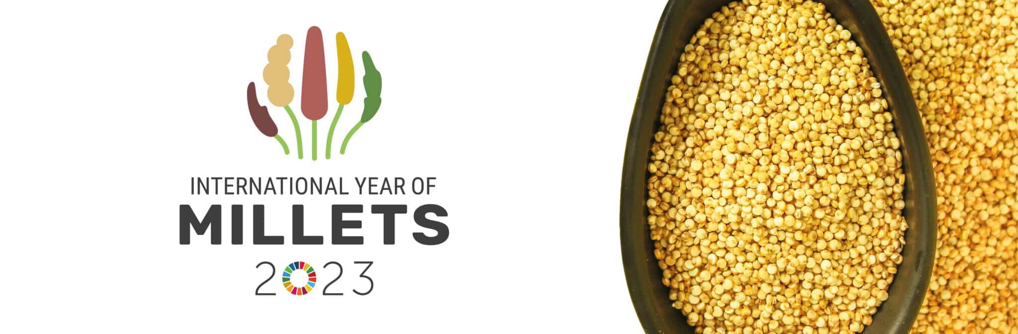 Millets is the food choice for the future