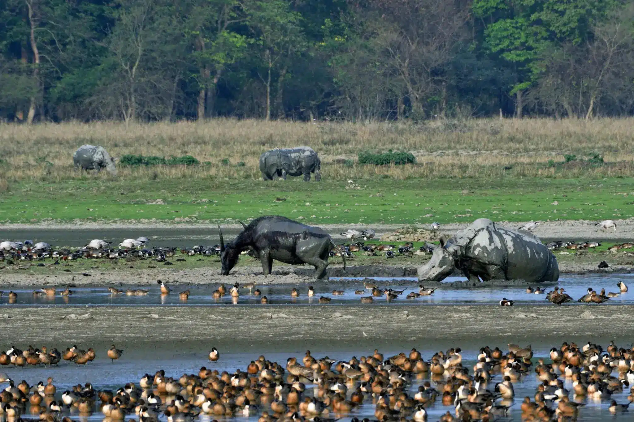 Nature Conservation Index