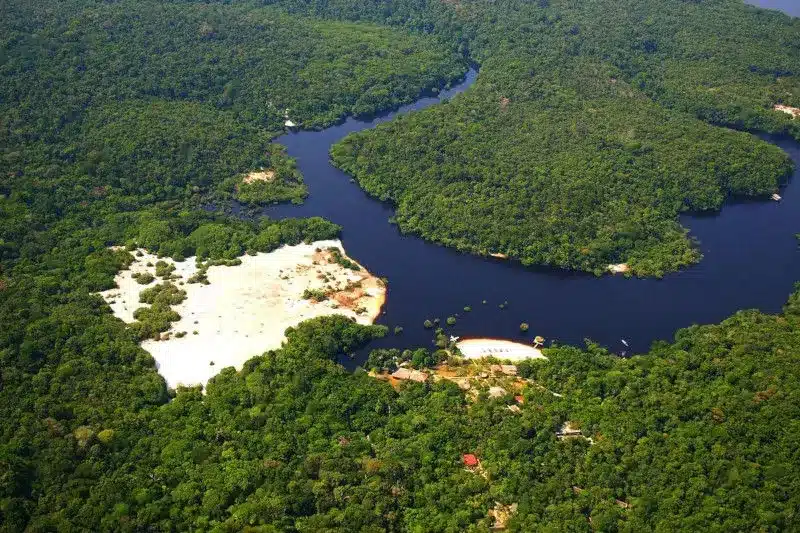 Key Facts about Negro River