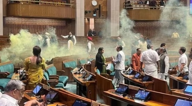 Parliament security breach