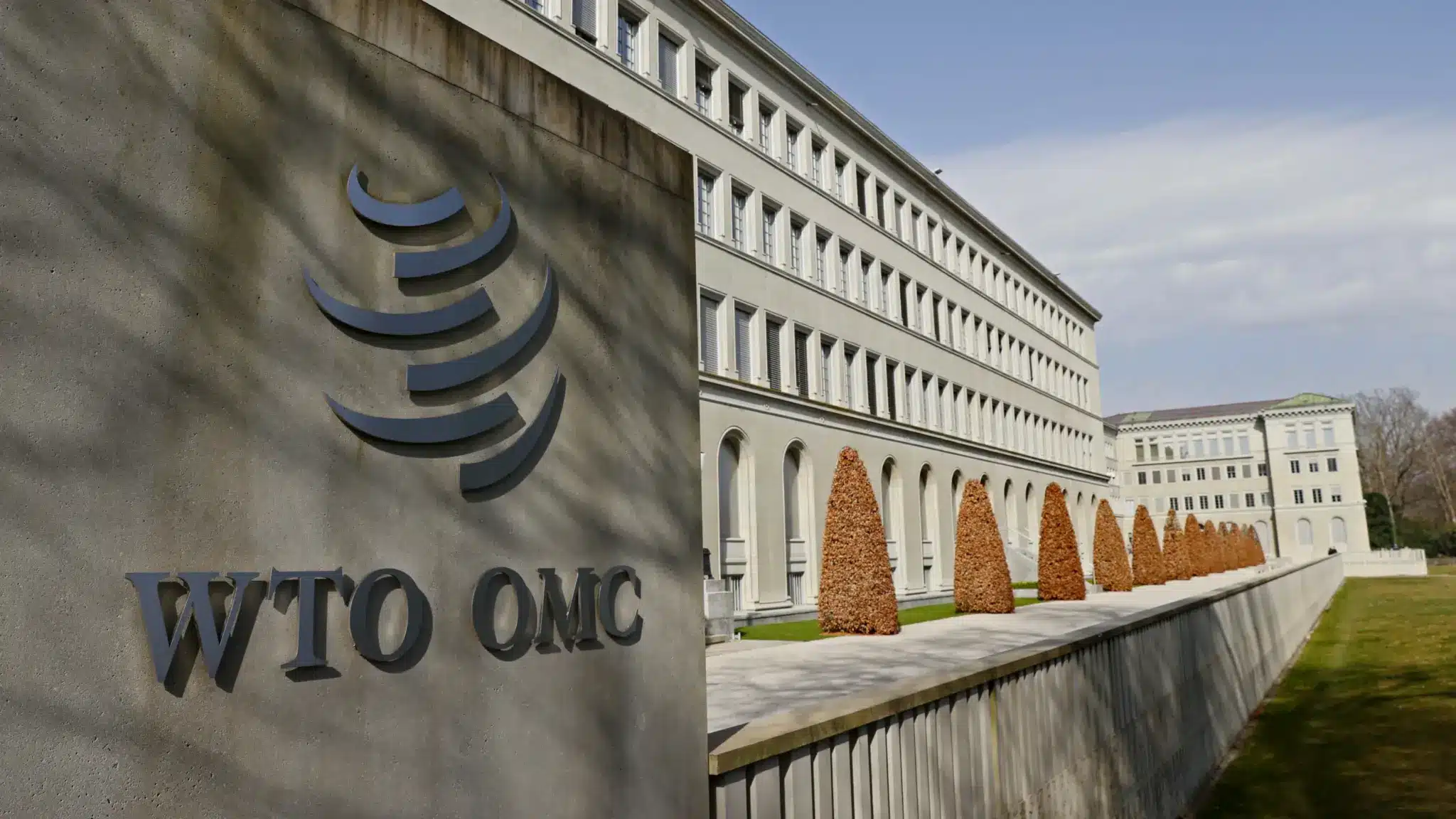 What is the Peace Clause at WTO?