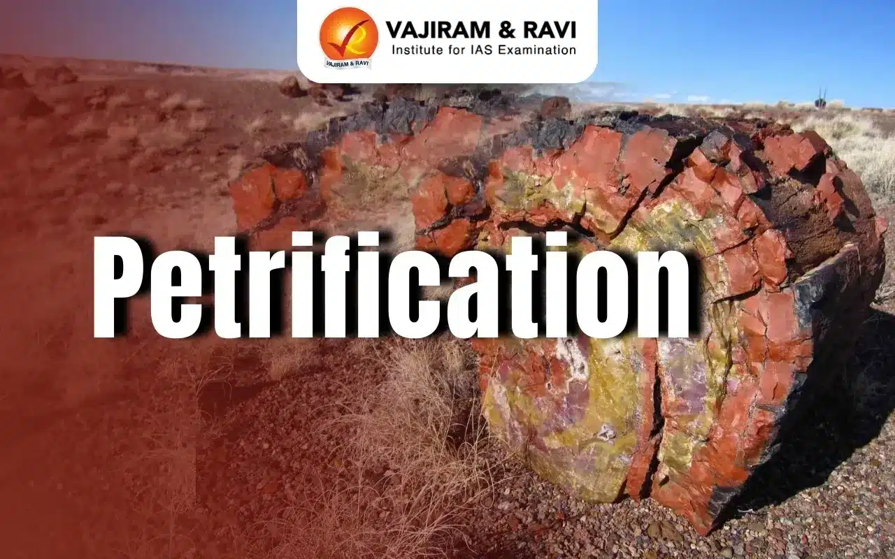 Petrification