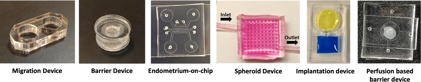 Placenta on Chip