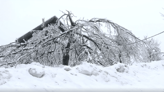 Polar Vortex Phenomenon