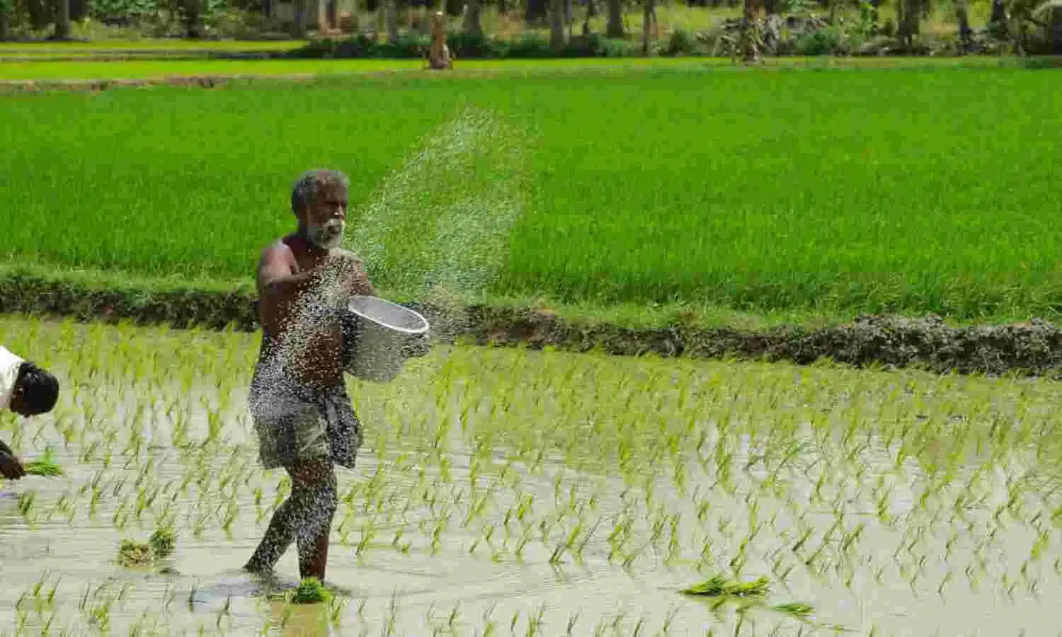 Pradhan Mantri Annadata Aay SanraksHan Abhiyan (PM-AASHA)