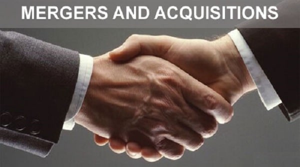 Process of Merger in India