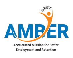Project AMBER