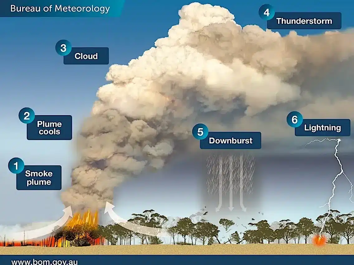 Pyrocumulonimbus cloud