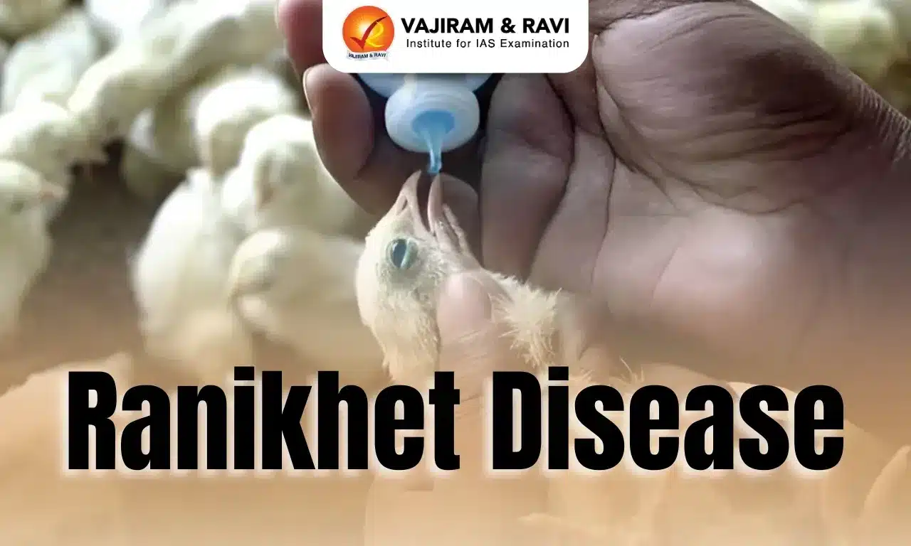 Ranikhet Disease