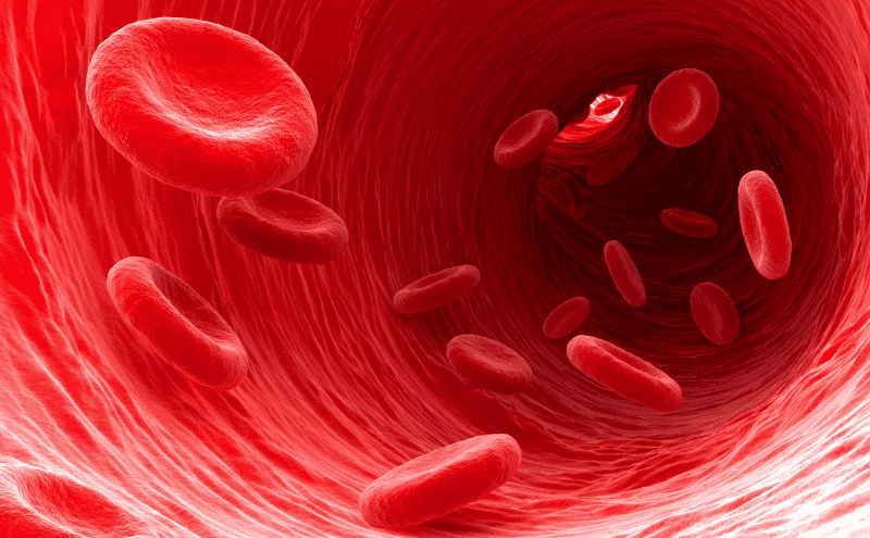 What are Red Blood Cells (RBCs)?