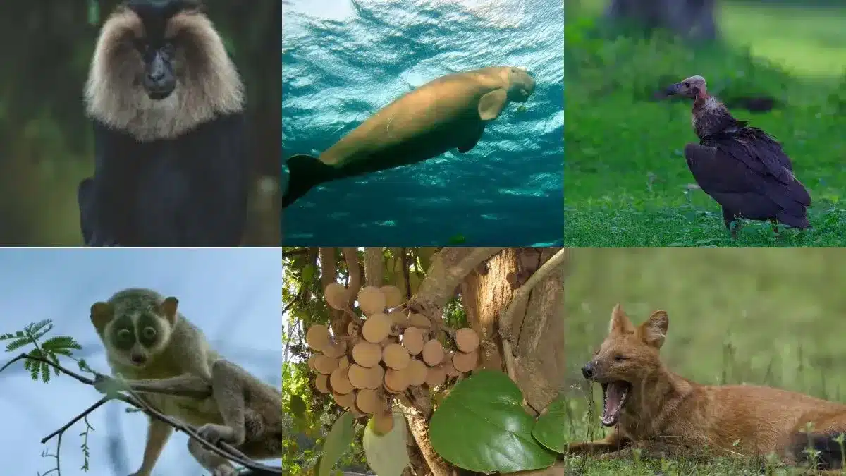 Registration of Exotic Animals-PARIVESH 2.0 Portal