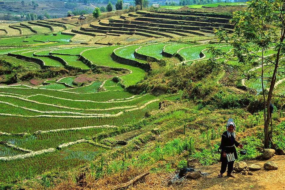 Key Facts about Shan State