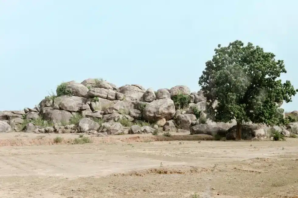 Singhbhum Craton