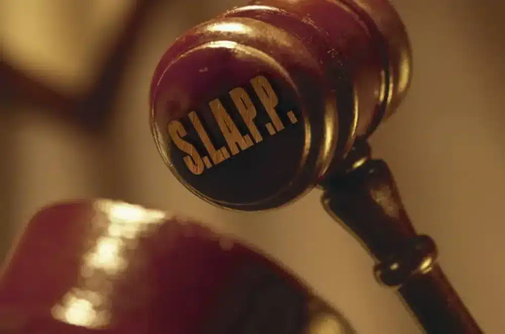 What are SLAPP Suits?