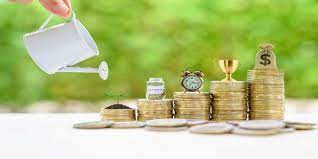 Small Savings Instruments (SSIs)