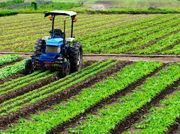 Subsidy Mechanism for Fertilizers in India