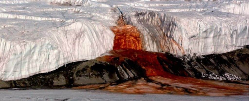Taylor Glacier