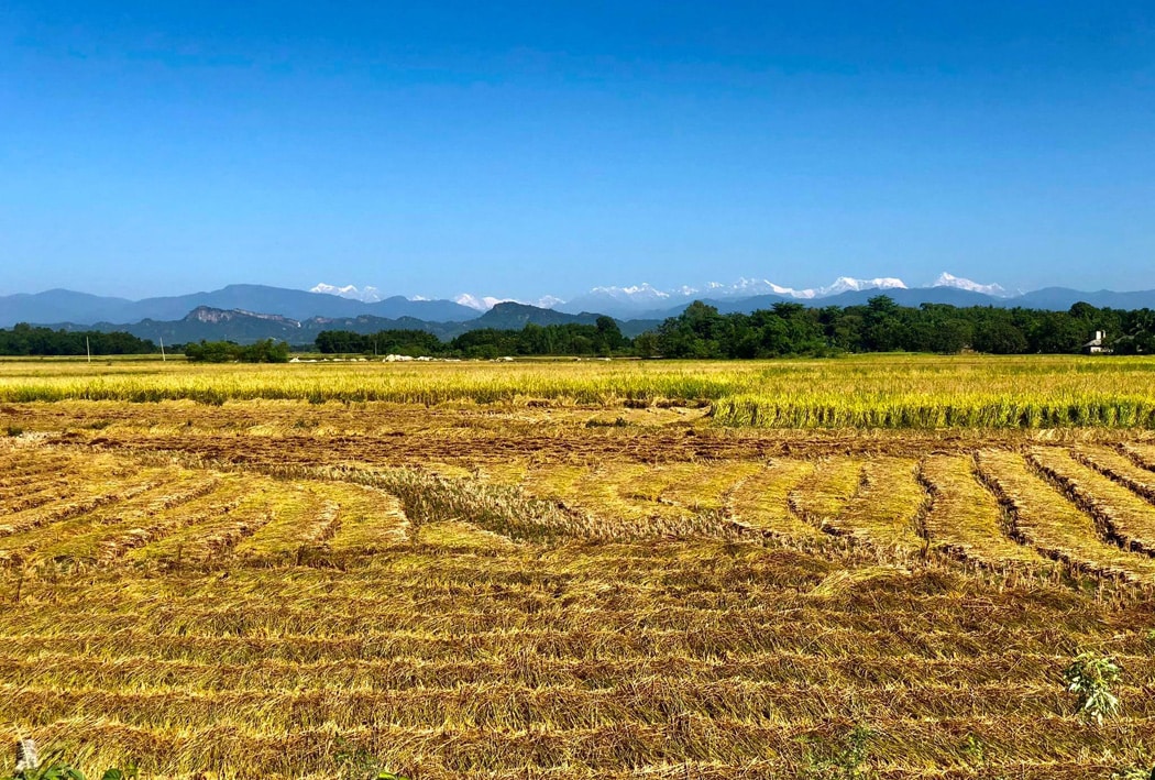 What is Terai?