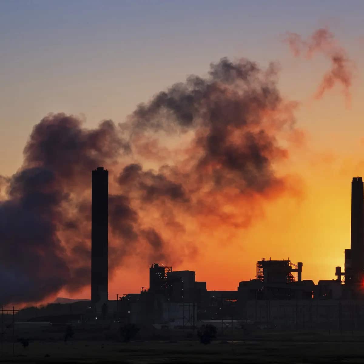 The Harvest of Polluted Air