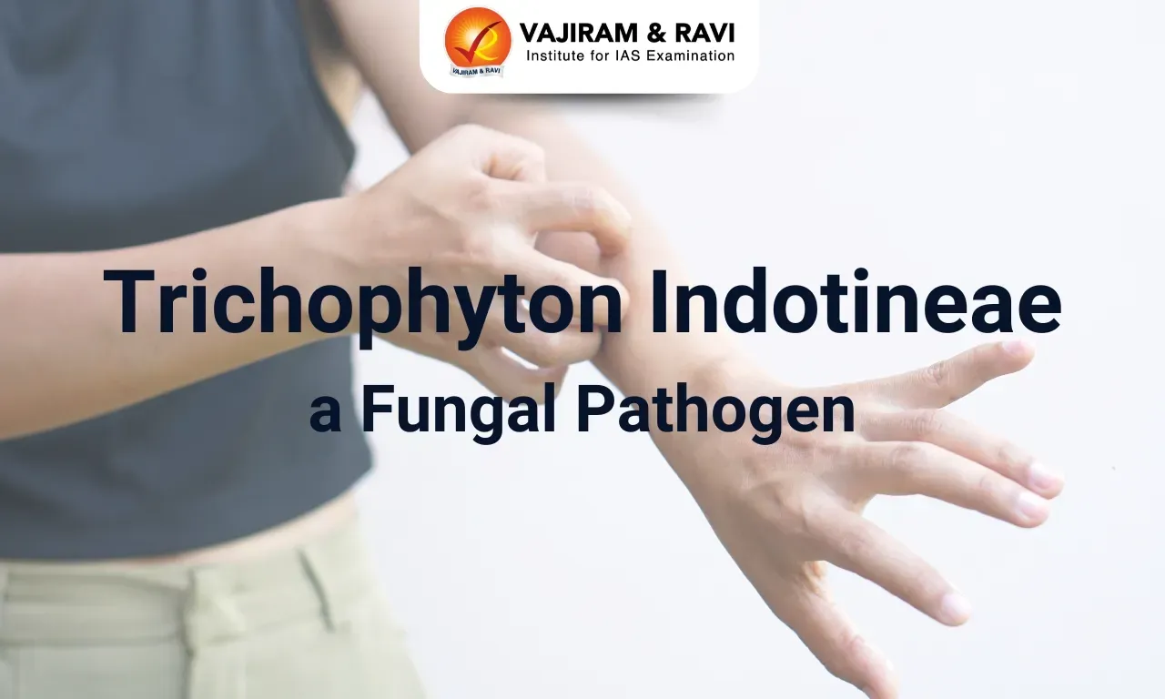 Trichophyton Indotineae