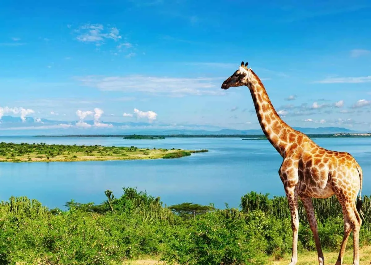 Key Facts about Uganda