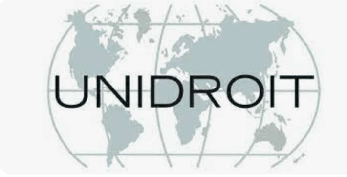 International Institute for the Unification of Private Law