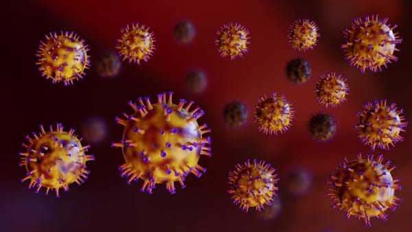 What are Vampire Viruses?