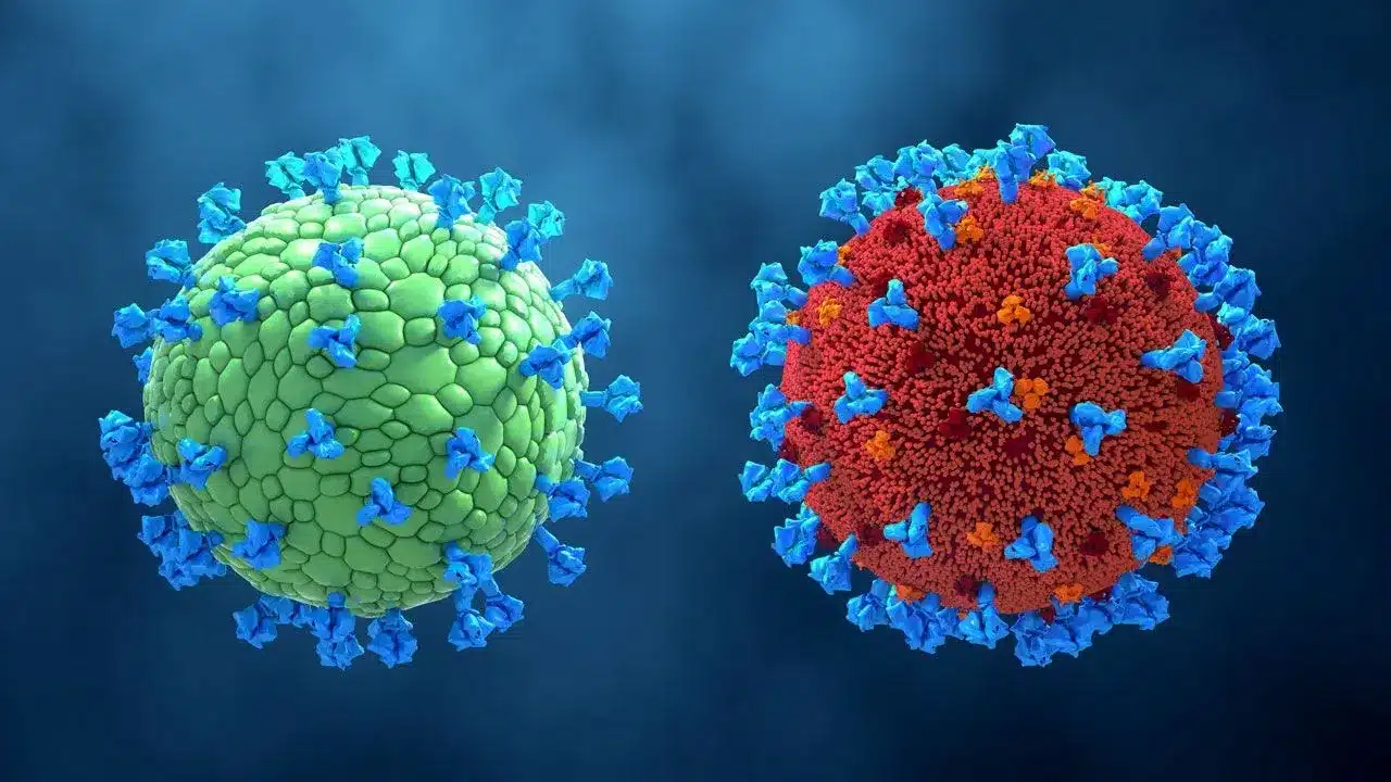 What are Virus-like particles (VLPs)?