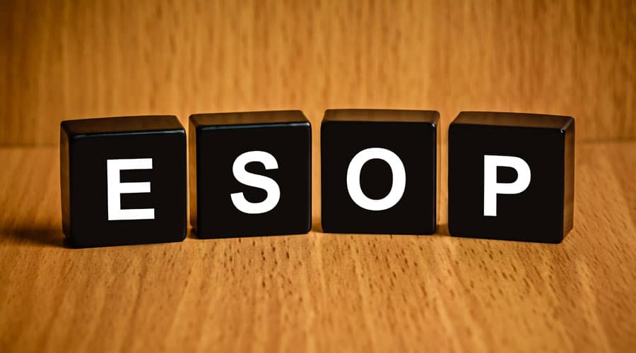 What is an Employee Stock Option Plan (ESOP)?