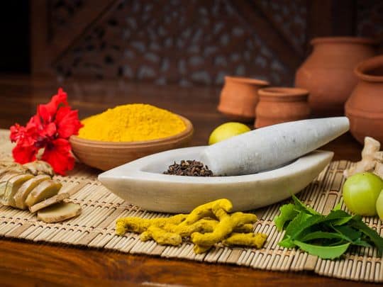 What is Ayush Visa?