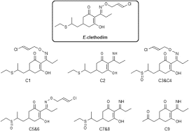 What is clethodim?