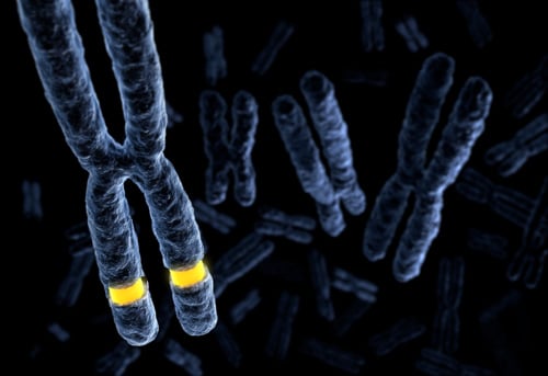 What is Fragile X Syndrome (FXS)?