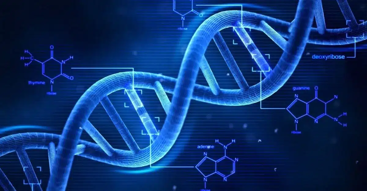 What is Genetic Screening?