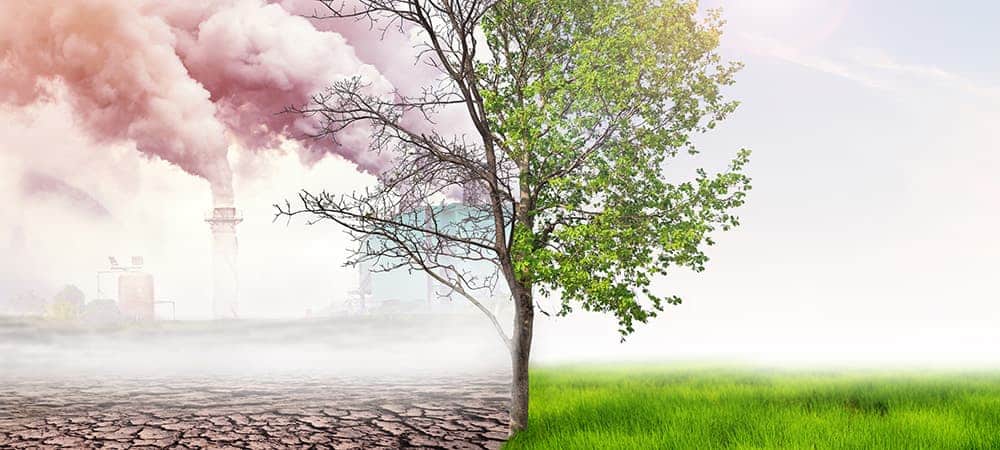 What is Greenwashing?