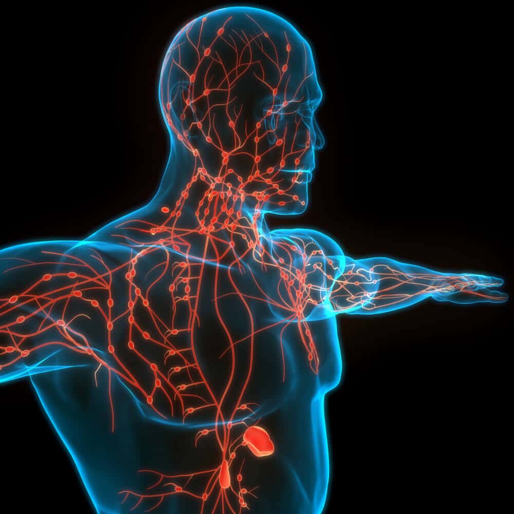 What is Lymphoma?